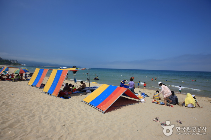 도직해변 도직해변