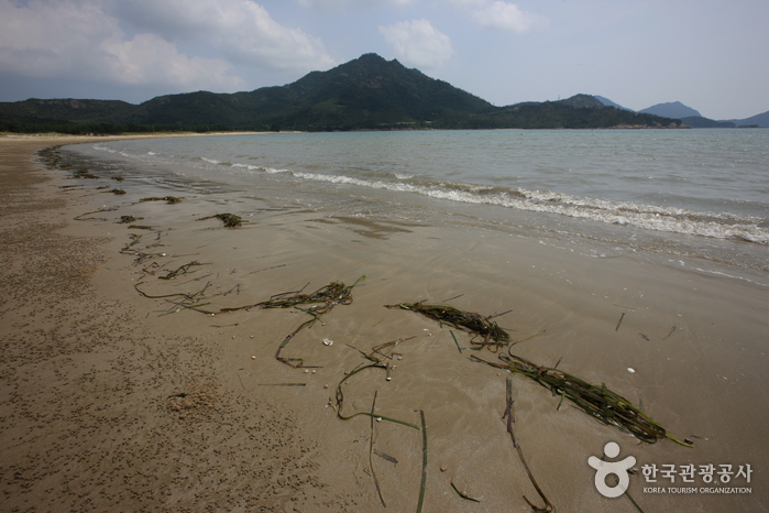 도초 시목해수욕장