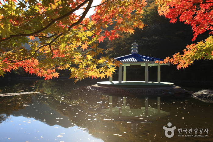 우화정 우화정