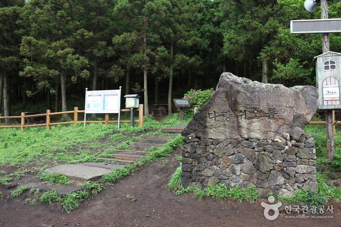 다랑쉬오름(월랑봉)