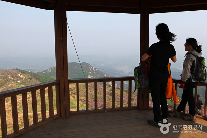 황매산(산청) 황매산(산청)