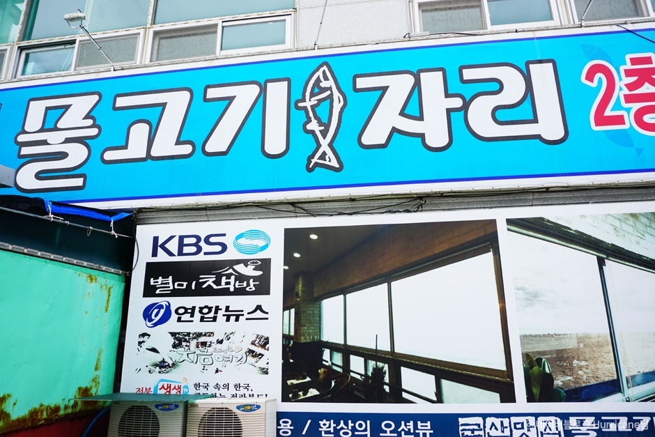 물고기자리