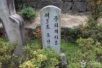 도산서원(대전) (5)