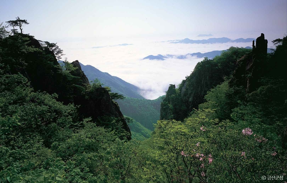 Daedunsan Provincial Park (Geumsan Section)