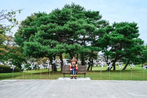 [DMZ 평화의 길] 강화평화전망대 코스