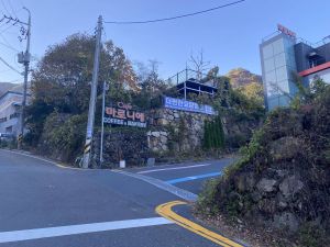 마로니에 사진 6