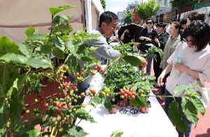 경춘선 공릉숲길 커피축제