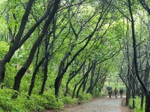 [서울둘레길 4코스] 망우·용마산코스