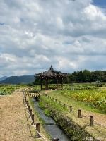 경주_경주 서출지 (1) 미리보기