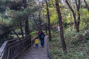 서울_봉화산(서울) (2) 미리보기