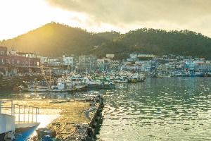 완도항 전경 2