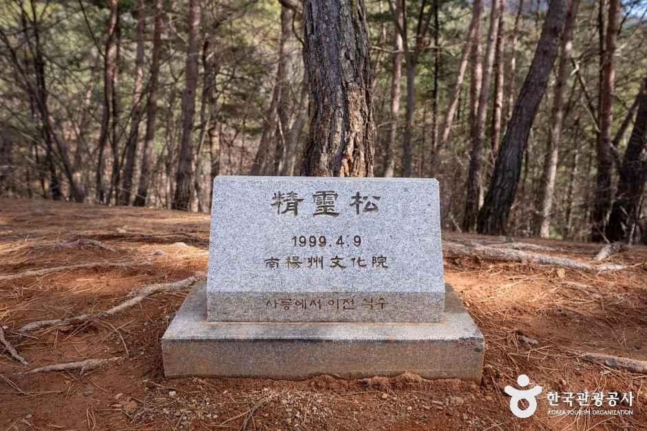 강원_영월_영월 장릉(단종) [유네스코 세계유산]_외부_2.png