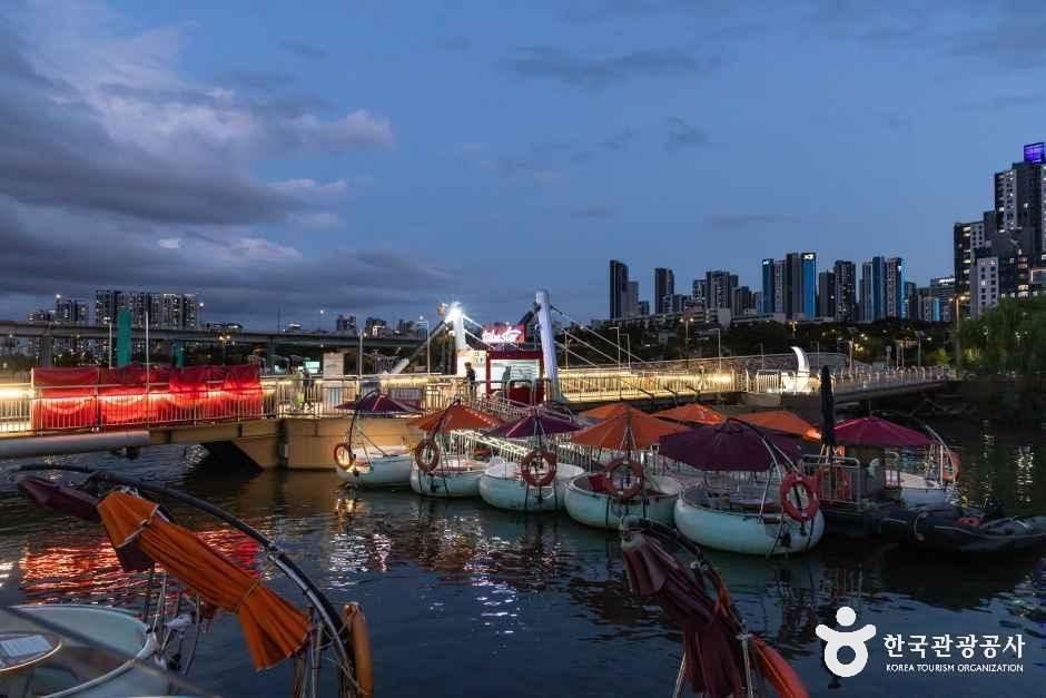 세빛섬 튜브스터