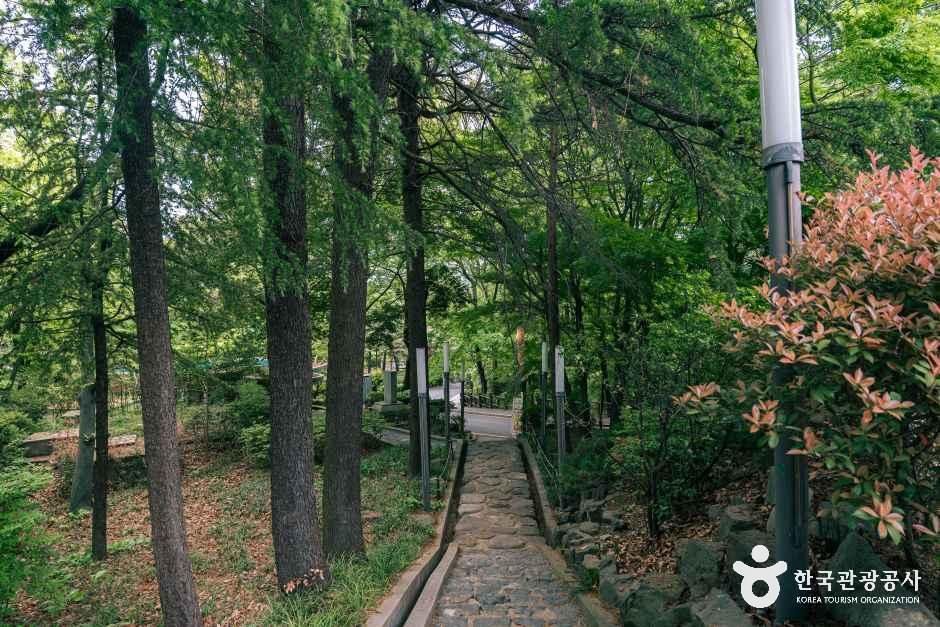 광주_사직공원_외부_1.jpg