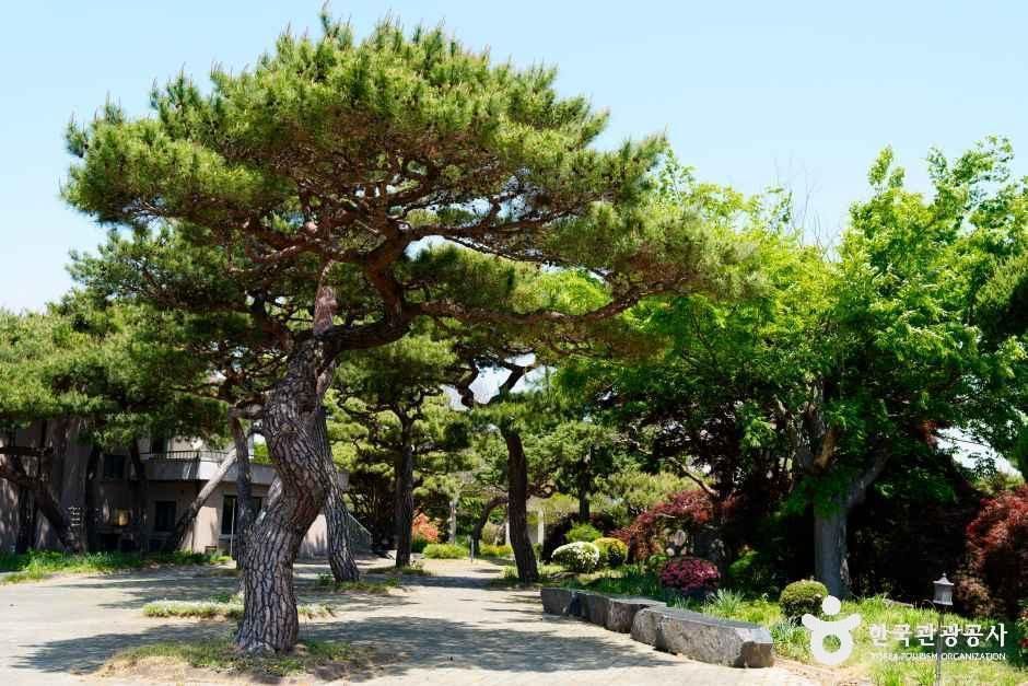 그림같은 수목원(그림이 있는 정원)