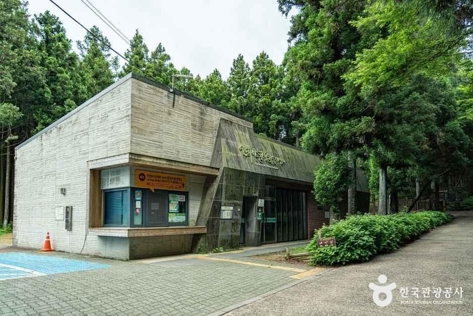 사려니숲길