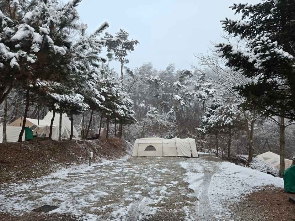 원주_명봉산 솔밭관광농원 오토캠핑장 (2).jpg