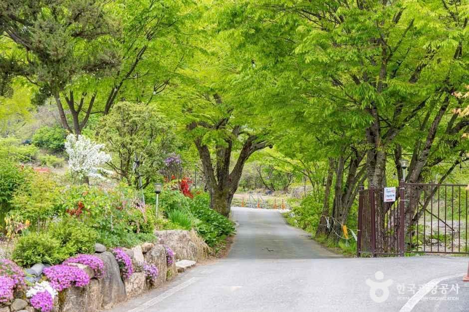 괴산 도명산 오토캠핑장