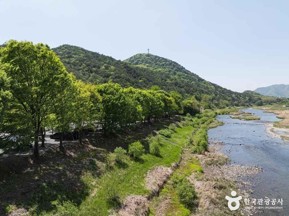 써니밸리캠핑장