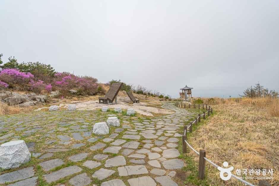 八公山国家公园（军威郡）