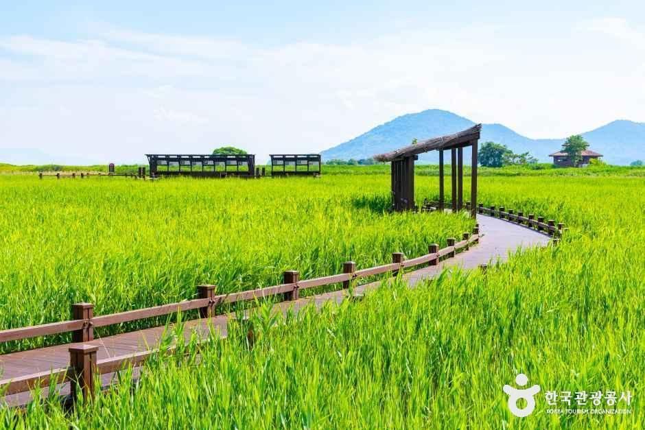Suncheonman Bay