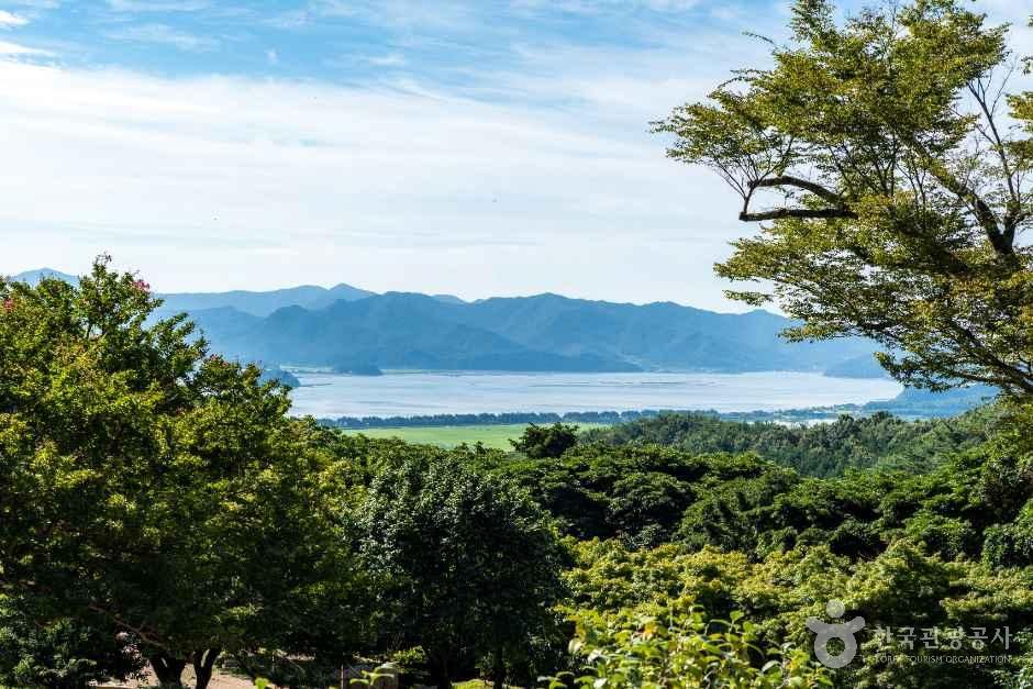 白蓮寺（康津）（백련사（강진））