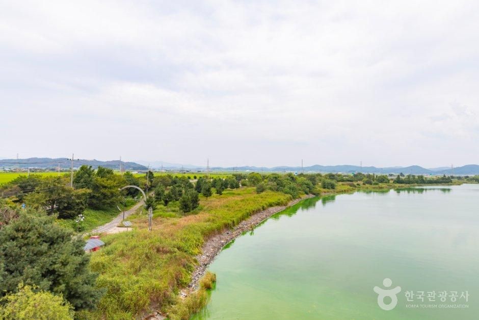 금강하구 철새도래지 (서천)