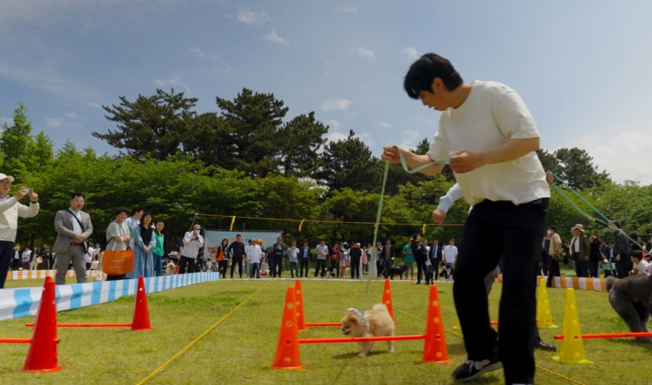Jeju Pet Culture Industry Festival