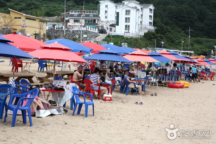 와현모래숲해변 와현모래숲해변