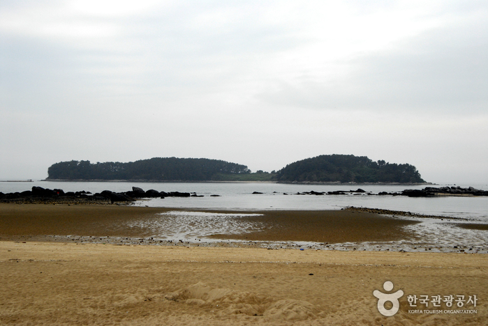 석대도