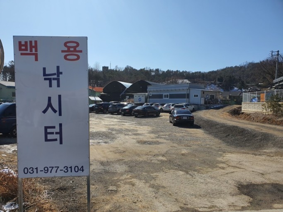 白龍 釣り場