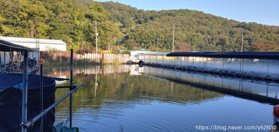 王谷 釣り場