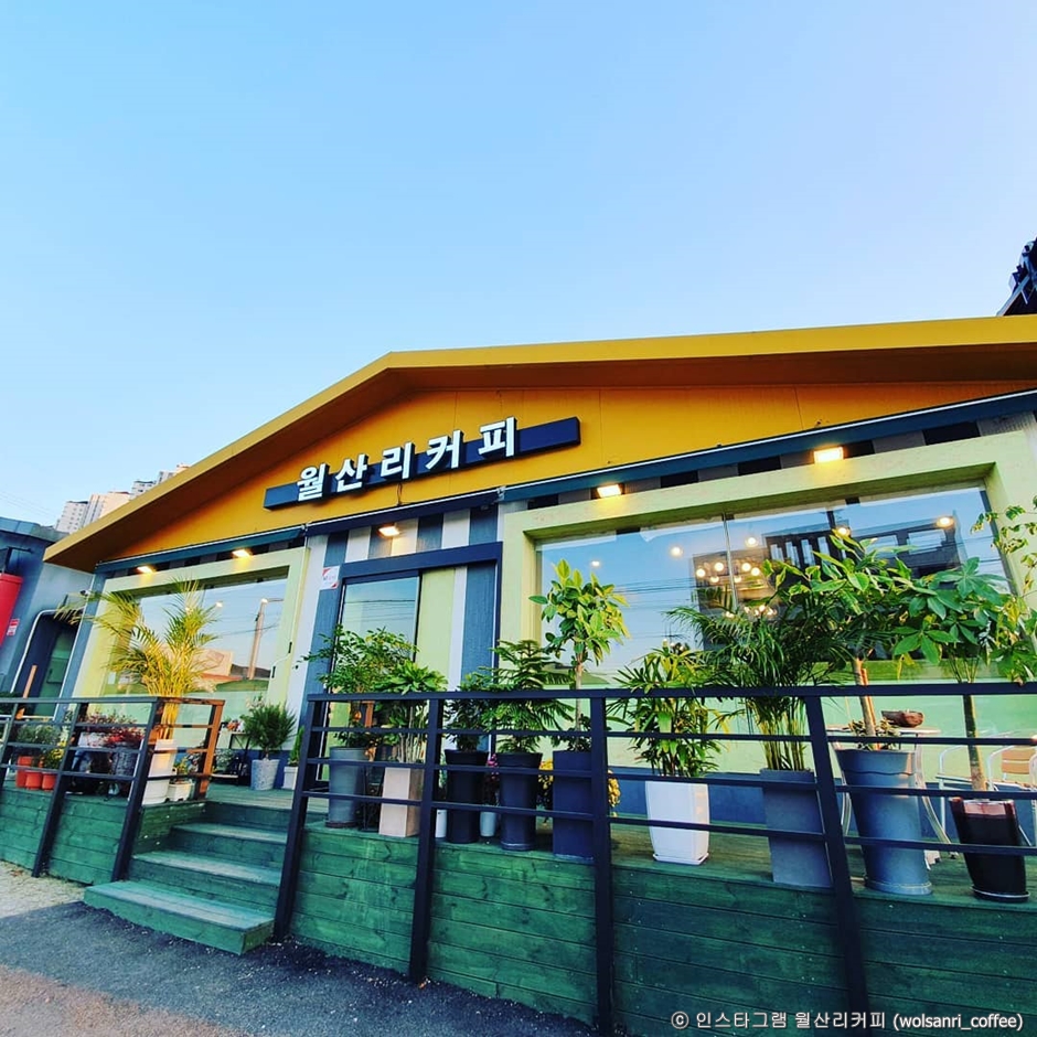 月山里コーヒー