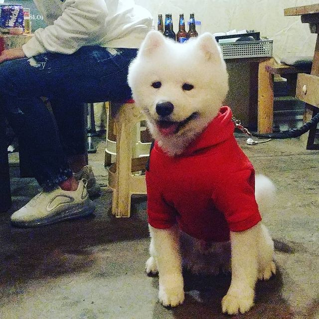 モノキャンプ