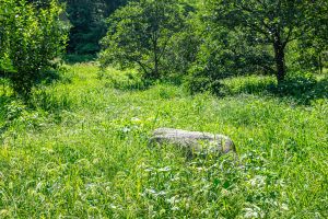 상주 금흔리 이부곡 토성