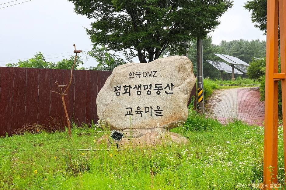 韓国DMZ平和生命公園