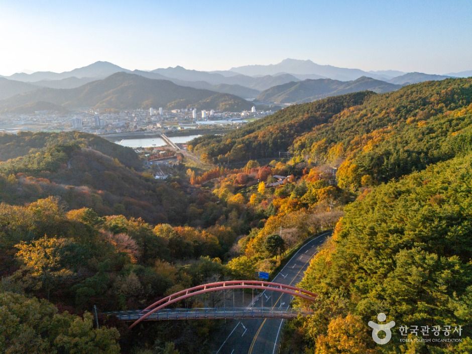 大伽耶樹木園