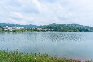 천호지·단대호수