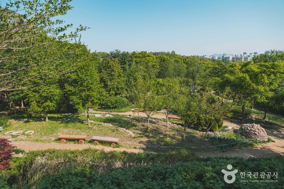 Daemosan Forest Wildflower Garden