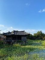 경주_경주 서출지 (2) 미리보기