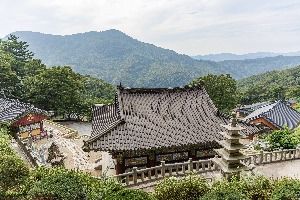 용덕사