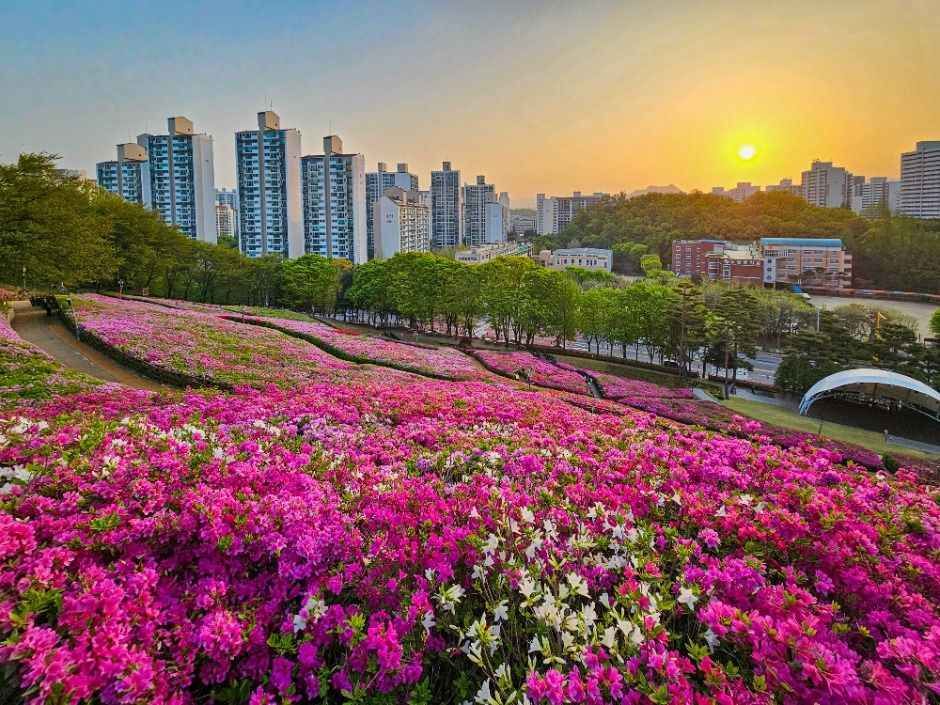 2026 군포 철쭉축제 (9).jpg