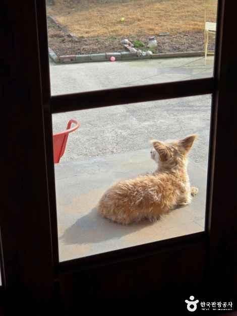 전북_김제_오느른 책밭_외부_4.jpg