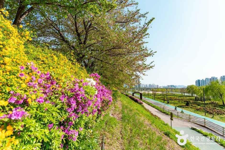 구로올레길 이미지