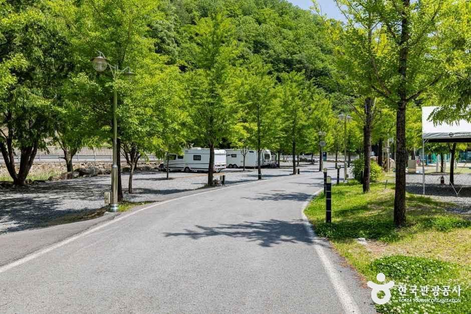 옥전캠핑장