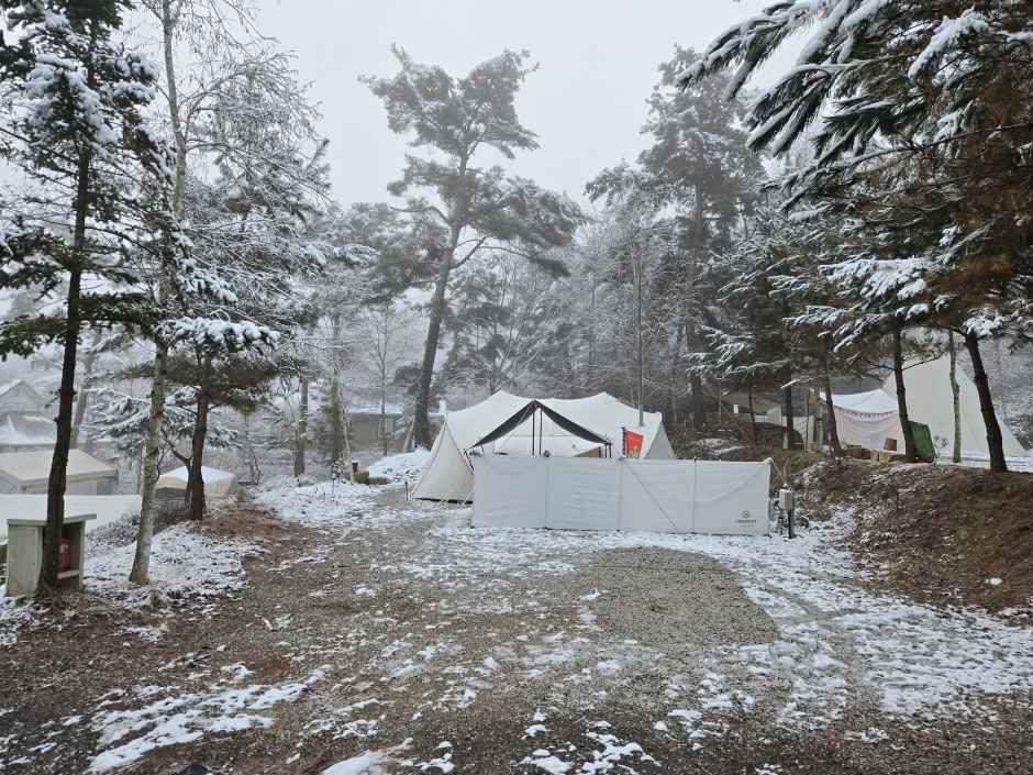 원주_명봉산 솔밭관광농원 오토캠핑장 (3).jpg