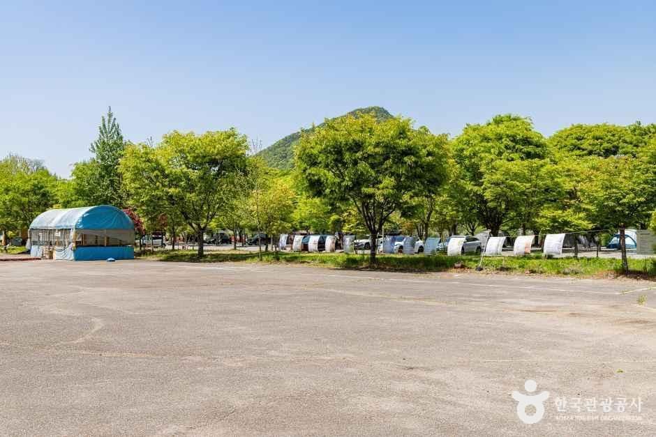 써니밸리캠핑장