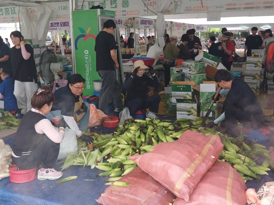 Hongcheon Waxy Corn Festival