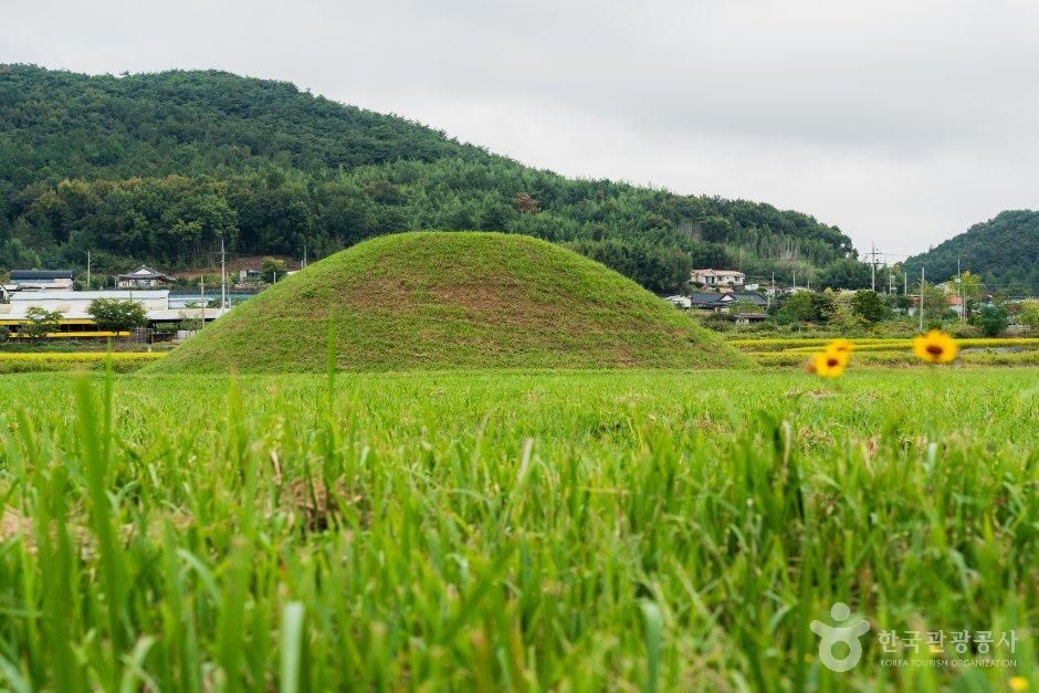 羅州 伏岩里古墳群
