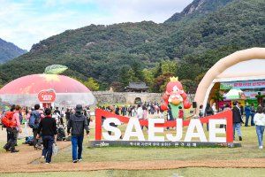 문경사과축제